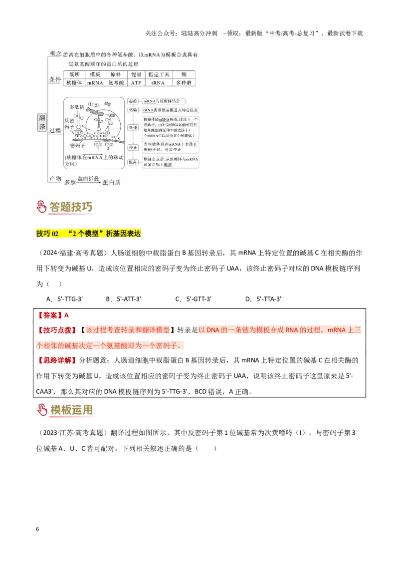 《专题05遗传的分子基础（学生版）_06-生物-高考总复习_专项复习_2025年_2025年高考生物答题技巧与答题模板（全国通用）》第6页预览