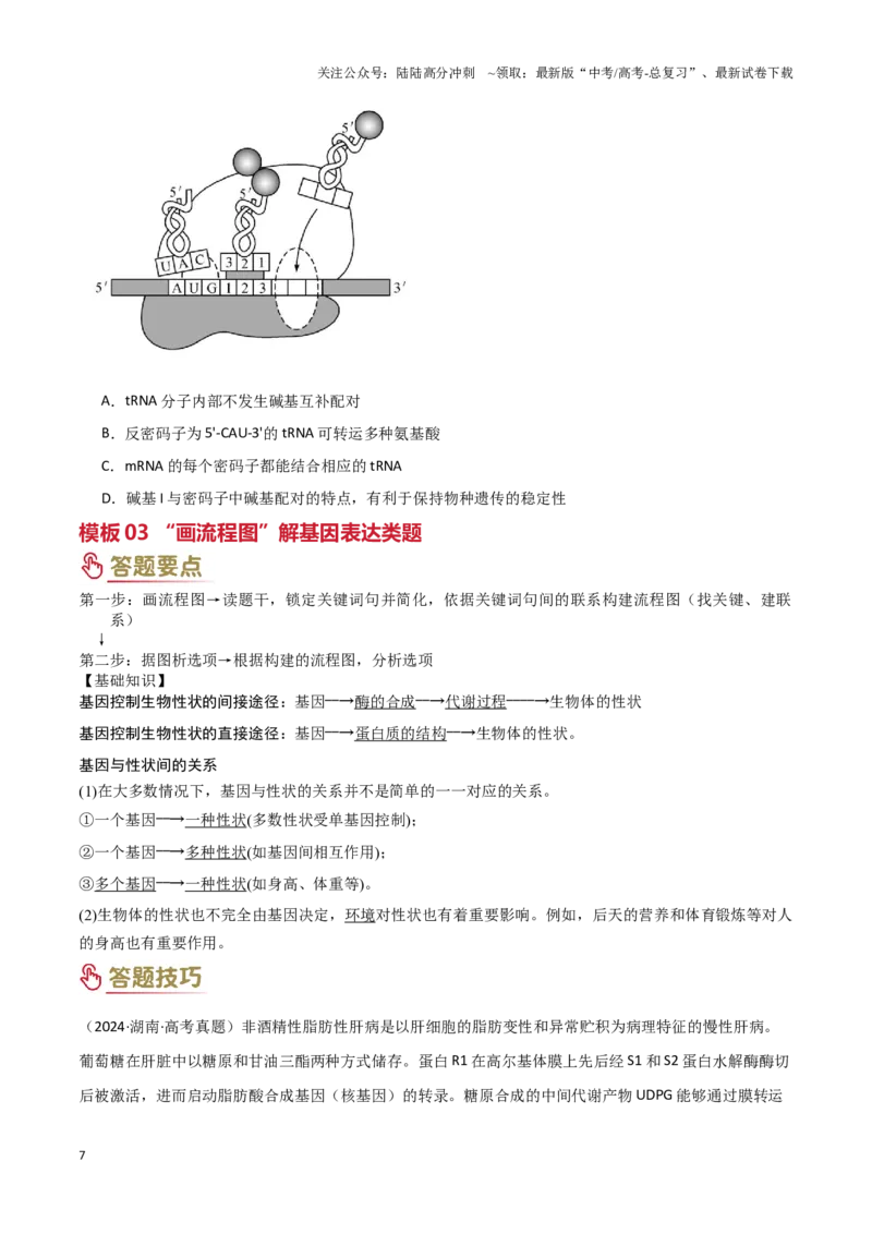 《专题05遗传的分子基础（学生版）_06-生物-高考总复习_专项复习_2025年_2025年高考生物答题技巧与答题模板（全国通用）》第7页预览