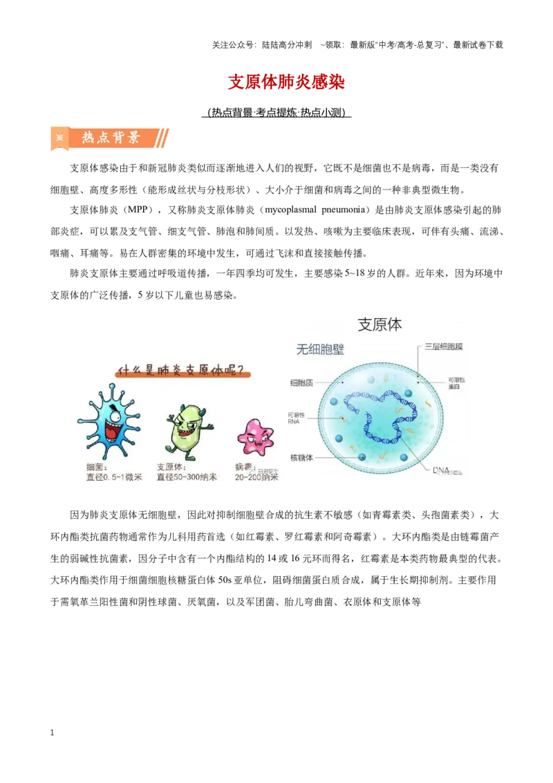 《热点06支原体肺炎感染-（解析版）_06-生物-高考总复习_专项复习_2024年_2024年高考生物热点情境解读与知识链接8份_资料_1-资料》第1页预览