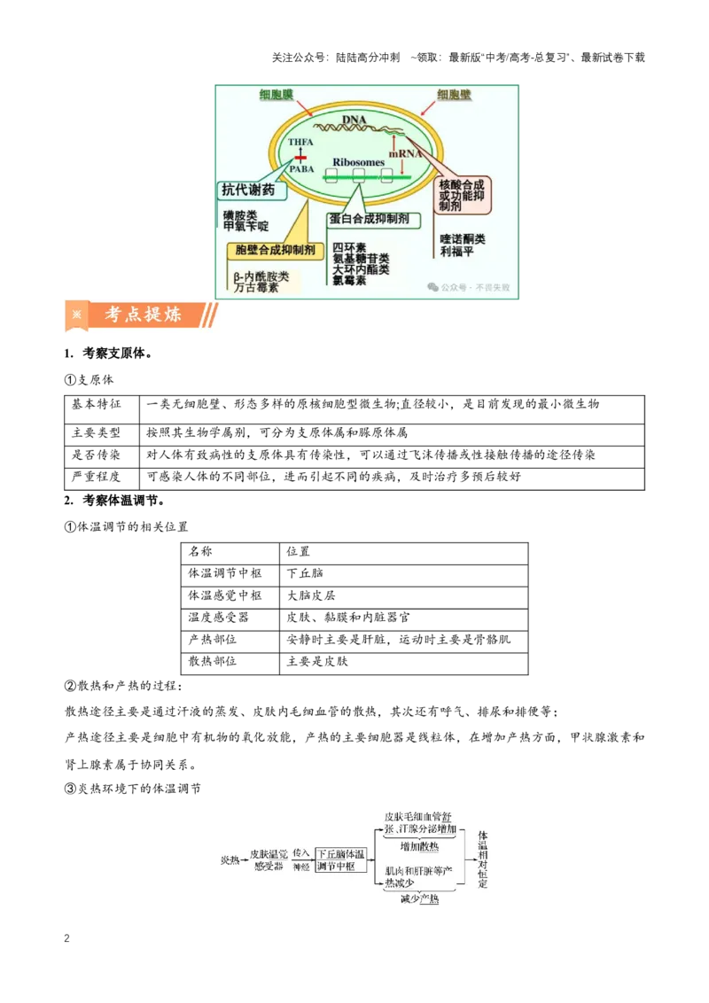 《热点06支原体肺炎感染-（解析版）_06-生物-高考总复习_专项复习_2024年_2024年高考生物热点情境解读与知识链接8份_资料_1-资料》第2页预览