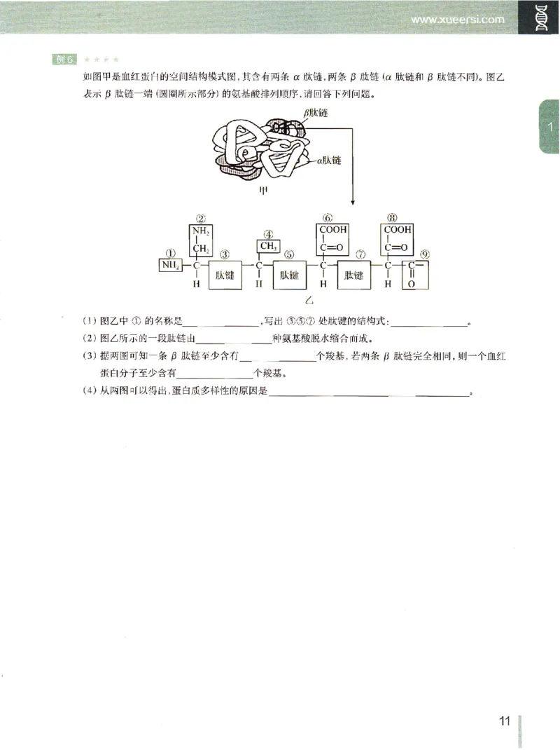 《2019年秋季生物（上）讲义1-7-9e2fce04cf85_学而思高一全套_2019秋季高一1_102019-秋高一生物直播凌云班(全国)陆魏巍完结_讲义》第10页预览