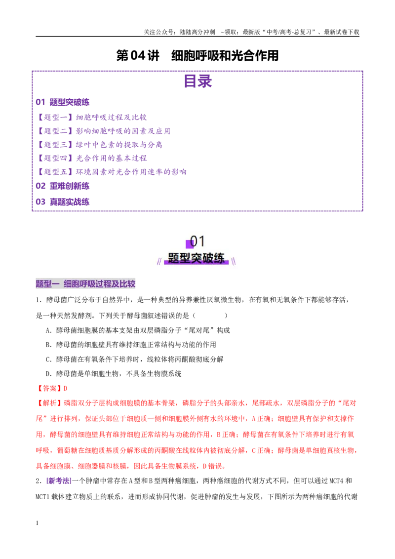 《第04讲细胞呼吸和光合作用（专项训练）（教师版）_06-生物-高考总复习_二轮复习_2025年_2025年高考生物二轮复习课件+讲义+练习（新高考通用）》第1页预览