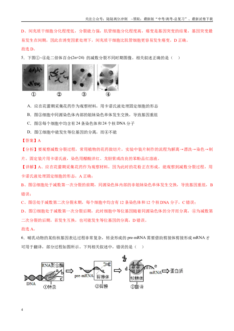 《模拟卷05（新高考八省专用）（解析版）_06-生物-高考总复习_一轮复习_2025年_2025年高考生物模拟卷（新高考八省专用）8套》第4页预览