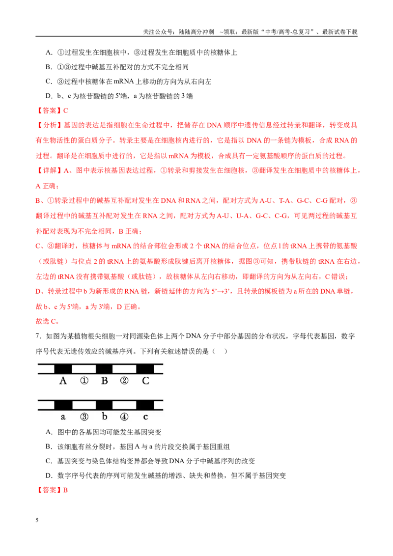 《模拟卷05（新高考八省专用）（解析版）_06-生物-高考总复习_一轮复习_2025年_2025年高考生物模拟卷（新高考八省专用）8套》第5页预览