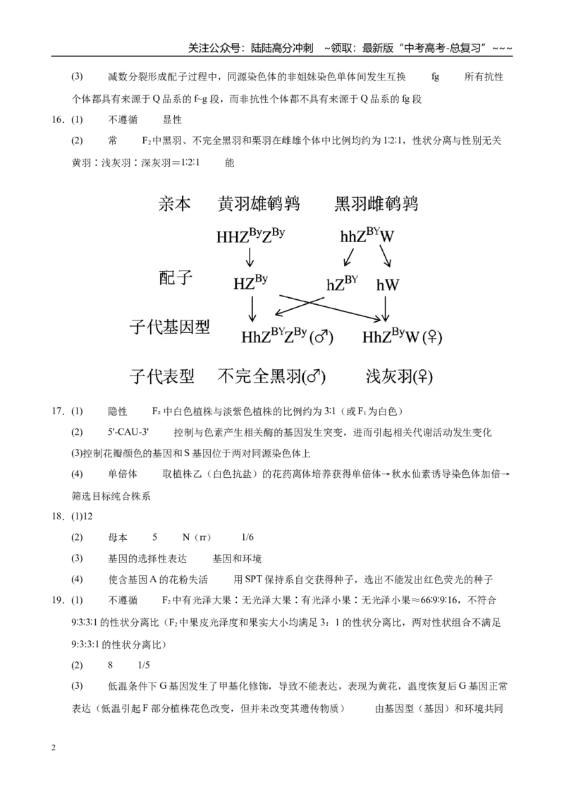 《专题04遗传的基本规律（2大考点）（答案版）_06-生物-高考总复习_专项复习_2026年-生物高考专项复习_2026年高考生物二模试题分类汇编（四川专用）-G282_2026版》第2页预览