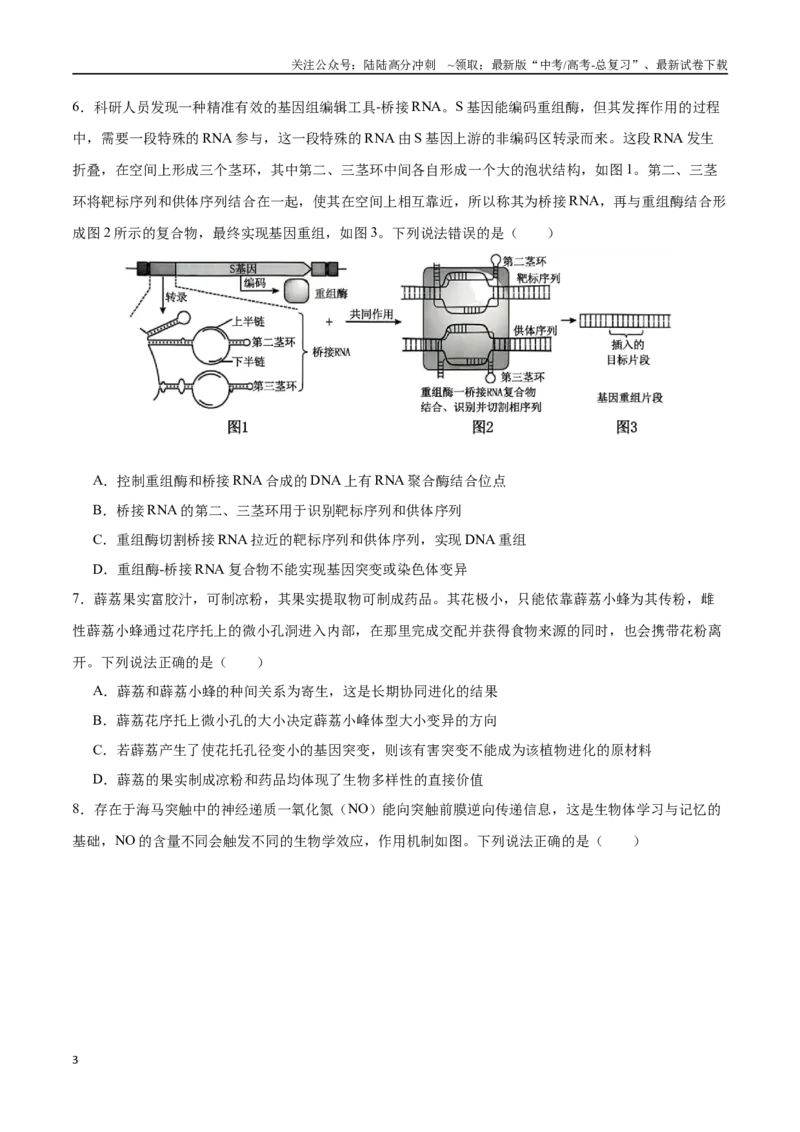 《生物（山东卷）（考试版A4）_06-生物-高考总复习_专项复习_2025年_2025年高考第一二三次模拟卷（多地区）生物_2025年高考生物第三次模拟考试21套_生物（山东卷）》第3页预览