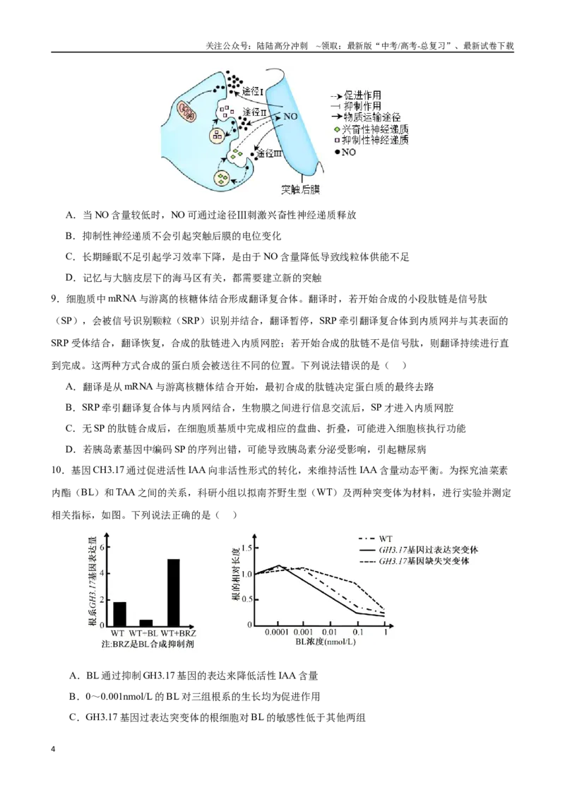 《生物（山东卷）（考试版A4）_06-生物-高考总复习_专项复习_2025年_2025年高考第一二三次模拟卷（多地区）生物_2025年高考生物第三次模拟考试21套_生物（山东卷）》第4页预览