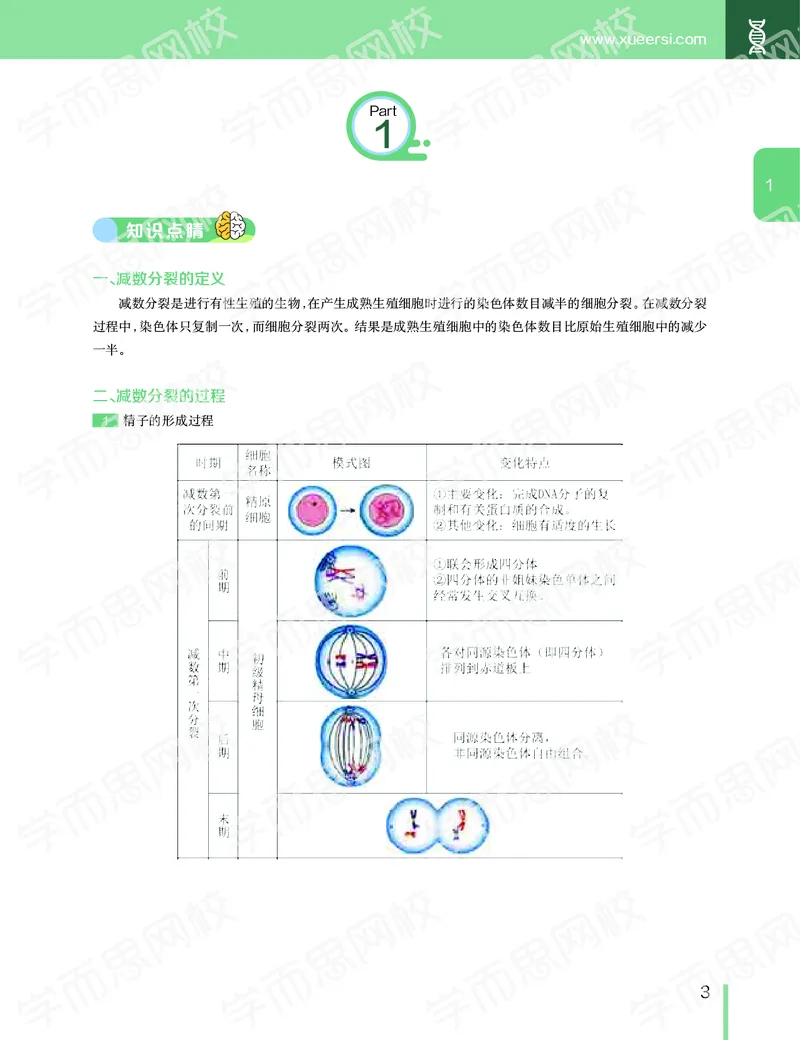 《2020寒假—目标清北班高一生物直播班（全国）讲义-f4a334eff9c8_学而思高一全套_2020年寒假高一_2020寒假目标清北班高一生物直播班（全国）7讲陆巍巍完结》第4页预览