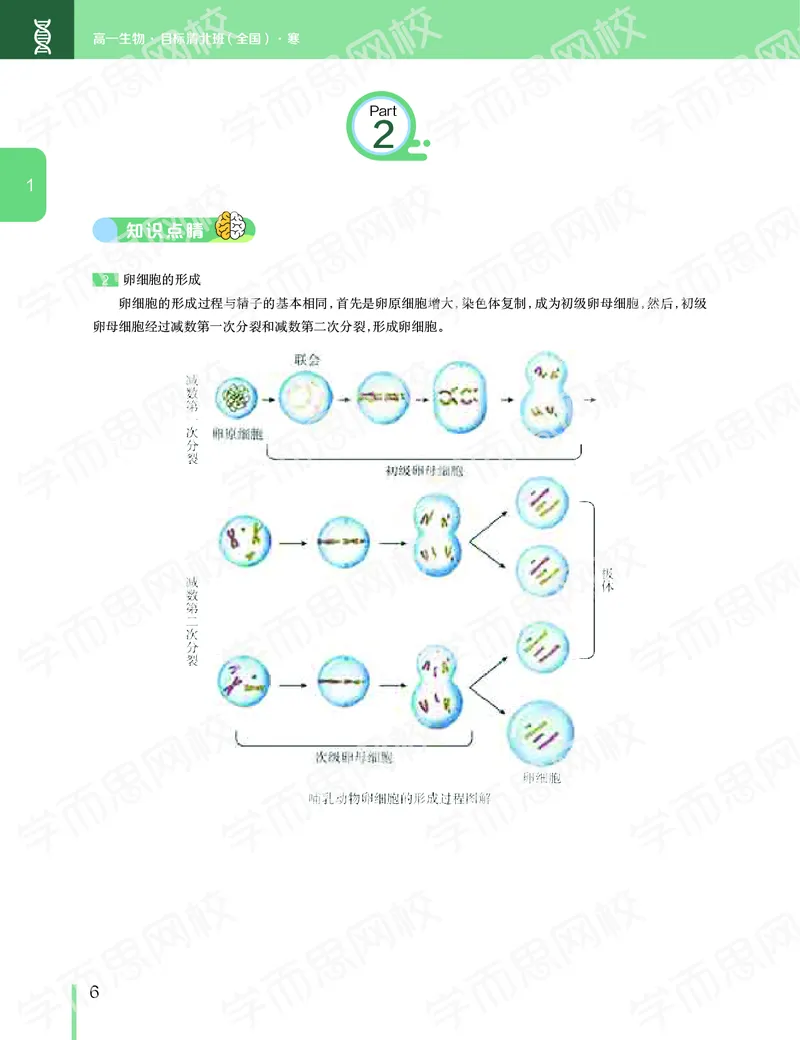 《2020寒假—目标清北班高一生物直播班（全国）讲义-f4a334eff9c8_学而思高一全套_2020年寒假高一_2020寒假目标清北班高一生物直播班（全国）7讲陆巍巍完结》第7页预览