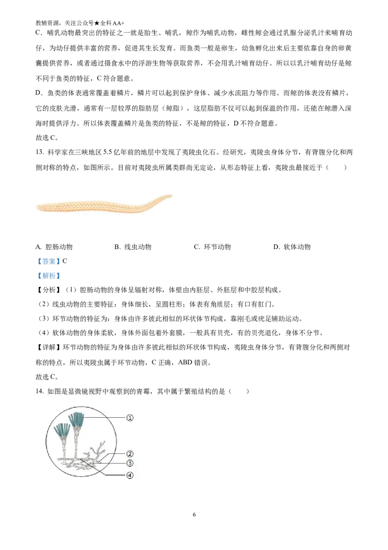 《2025上海市中考生物真题(解析版)_历年中考真题2013-2025_初中生物历年中考真题（2015-2025）_2025年全国中考真题_2025上海市中考生物真题》第6页预览