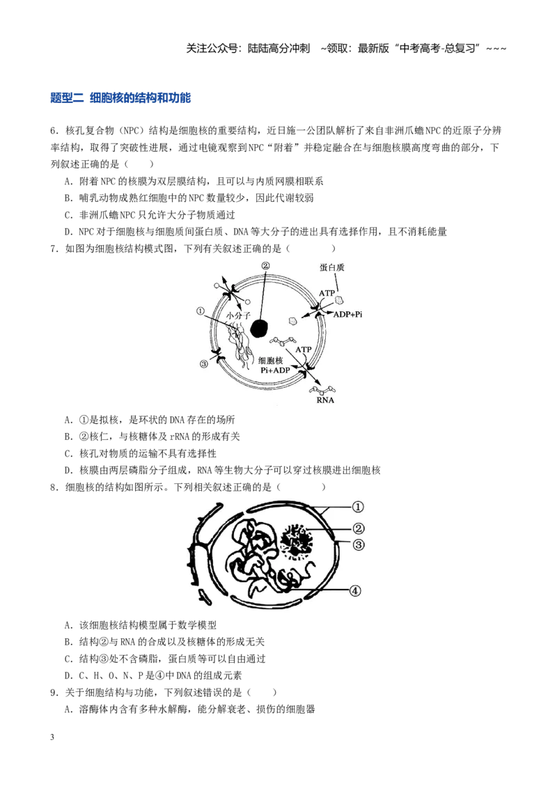 《第05讲细胞膜和细胞核（专项训练）（学生版）_06-生物-高考总复习_一轮复习_2026年-生物高考一轮复习_2026年高考生物一轮复习讲义+练习+课件（新教材新高考）-G55_2026版》第3页预览