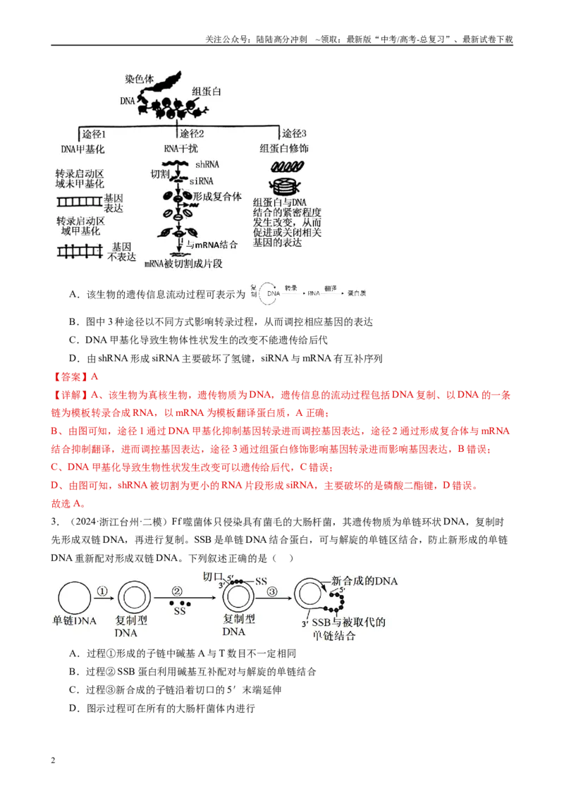 《专题05遗传的分子基础（解析版）_06-生物-高考总复习_专项复习_2025年_2024年高考二模试题分类汇编生物新高考通用》第2页预览