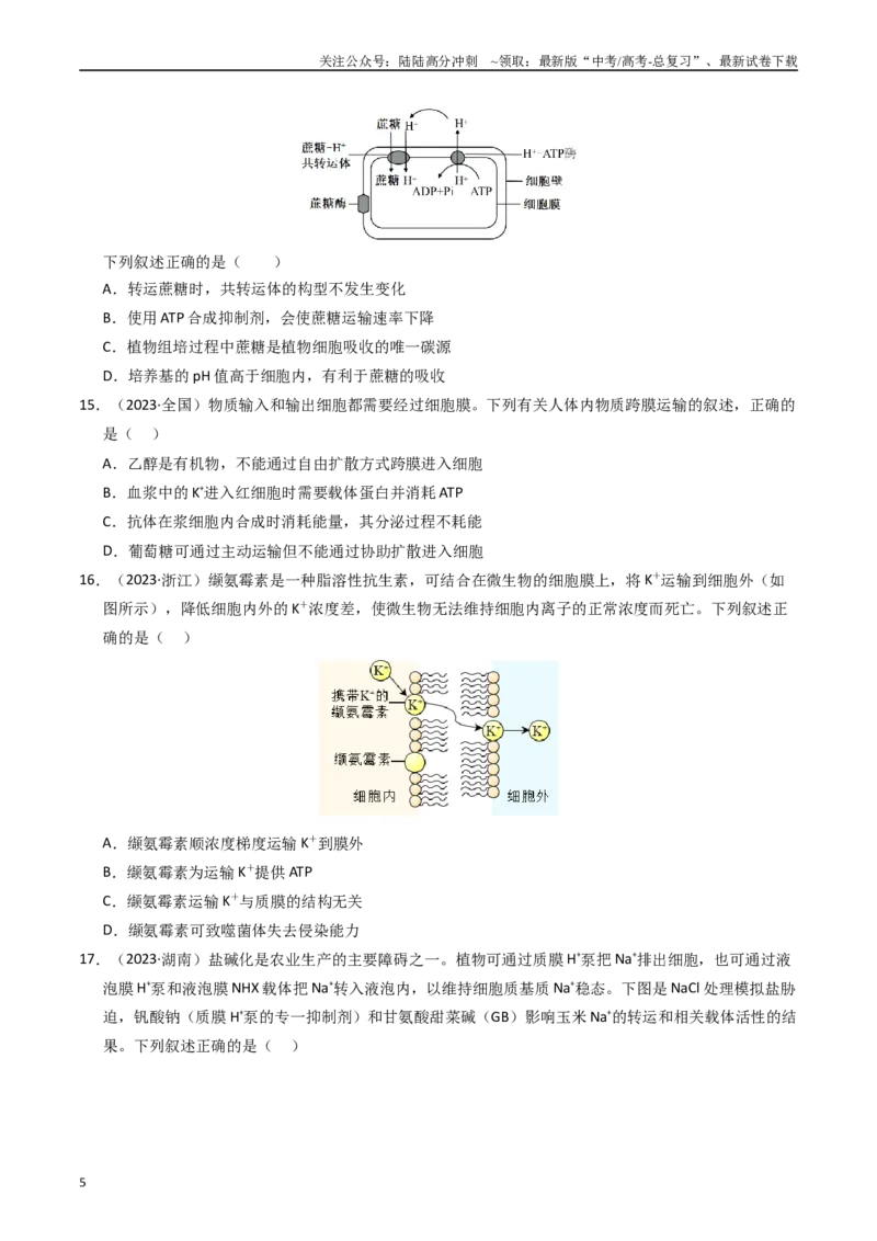 《专题02物质进出细胞、酶与ATP（原卷版）_06-生物-高考总复习_专项复习_2025年_五年2020-2024高考真题分类汇编生物真题分类汇编（全国通用）》第5页预览