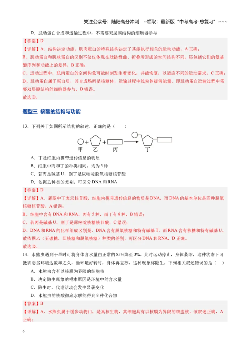 《第04讲蛋白质和核酸（专项训练）（四川专用）（教师版）_06-生物-高考总复习_一轮复习_2026年-生物高考一轮复习_2026年高考生物一轮课件+讲义+练习（四川专用）-G335》第6页预览