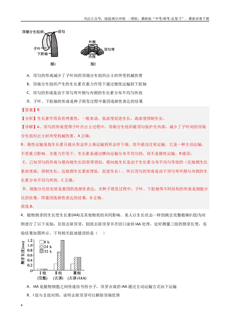 《猜押08植物的激素调节（教师版）_06-生物-高考总复习_专项复习_2025年_2025年高考生物抢分秘籍（新高考专用）_2025版》第4页预览