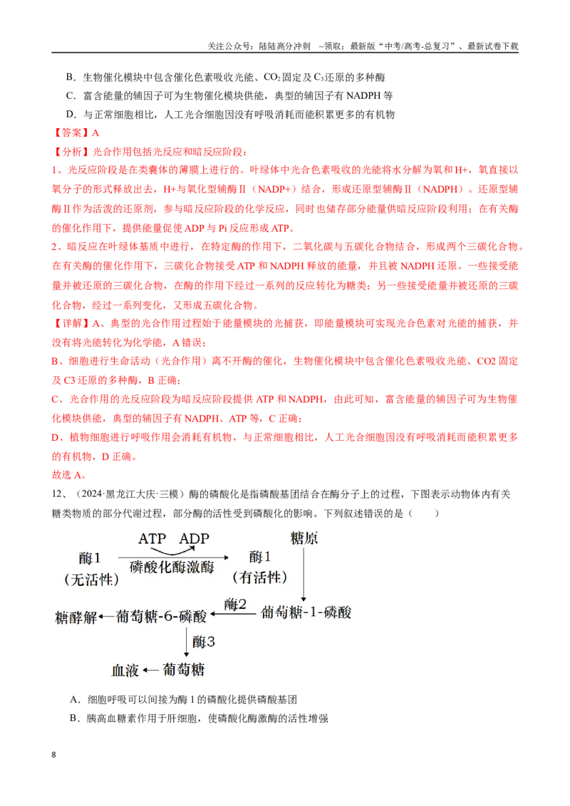 《专题04光合作用与细胞呼吸（解析版）_06-生物-高考总复习_专项复习_2025年_2024年高考三模试题分类汇编生物2新高考通用》第8页预览