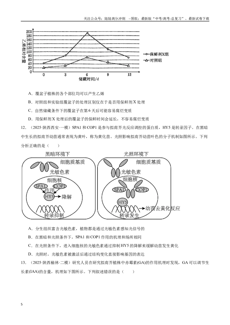 《猜押07植物生命活动的调节（学生版）_06-生物-高考总复习_专项复习_2025年_2025年高考生物抢押秘籍（陕西、山西、宁夏、青海专用）》第5页预览