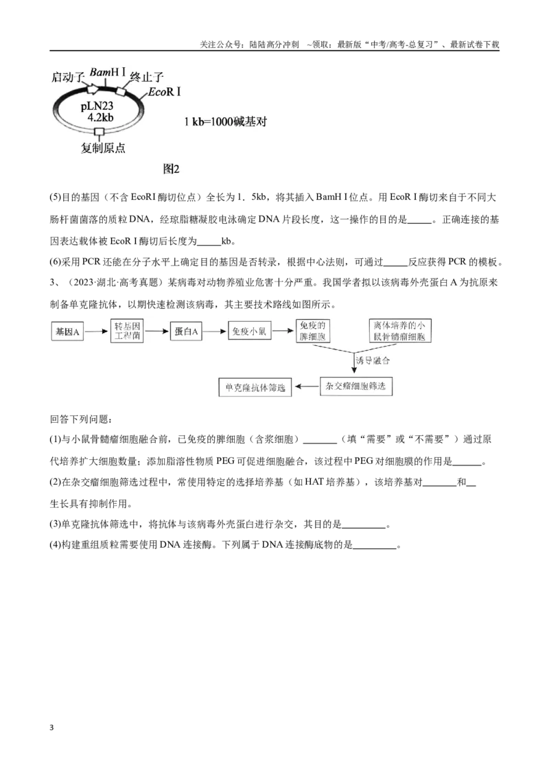 《专题05基因工程（新高考通用）（原卷版）_06-生物-高考总复习_专项复习_2024年_2024年高考生物考前大题秒杀技巧及专项训练_资料》第3页预览