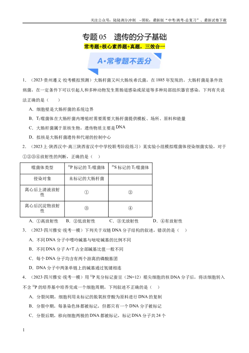 《专题05遗传的分子基础（分层练）（原卷版）_06-生物-高考总复习_二轮复习_2024年_2024年高考生物二轮复习高频考点追踪与预测（新高考专用）_分层练》第1页预览