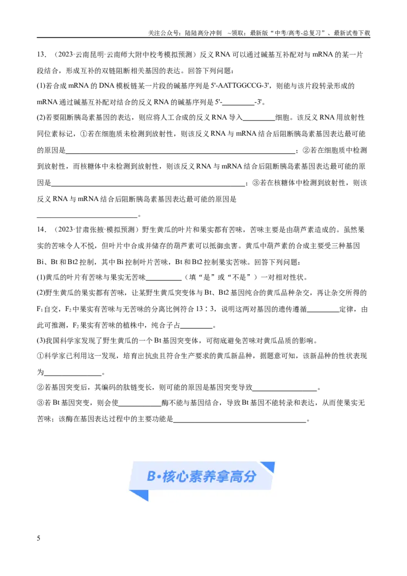 《专题05遗传的分子基础（分层练）（原卷版）_06-生物-高考总复习_二轮复习_2024年_2024年高考生物二轮复习高频考点追踪与预测（新高考专用）_分层练》第5页预览