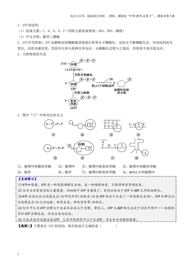 《第03讲ATP和酶（讲义）（学生版）_06-生物-高考总复习_二轮复习_2025年_2025年高考生物二轮复习课件+讲义+练习（新高考通用）》第3页预览
