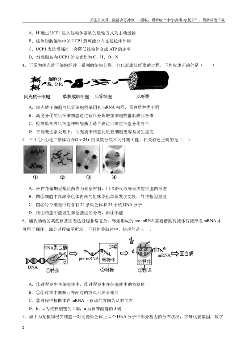 《模拟卷05（新高考八省专用）（考试版）_06-生物-高考总复习_一轮复习_2025年_2025年高考生物模拟卷（新高考八省专用）8套》第2页预览