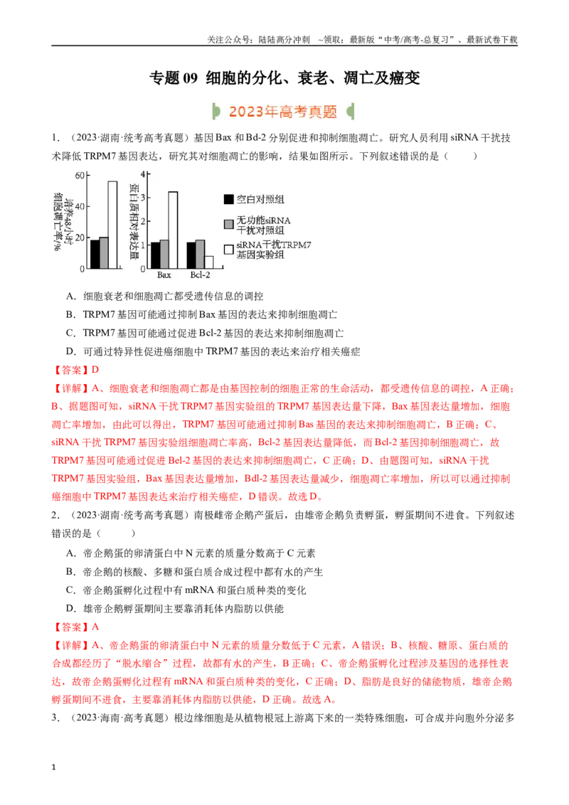 《专题09细胞的分化、衰老、凋亡及癌变（解析版）_06-生物-高考总复习_专项复习_2024年_2024年新高考生物复习热点考点真题模拟题必刷题练_资料》第1页预览