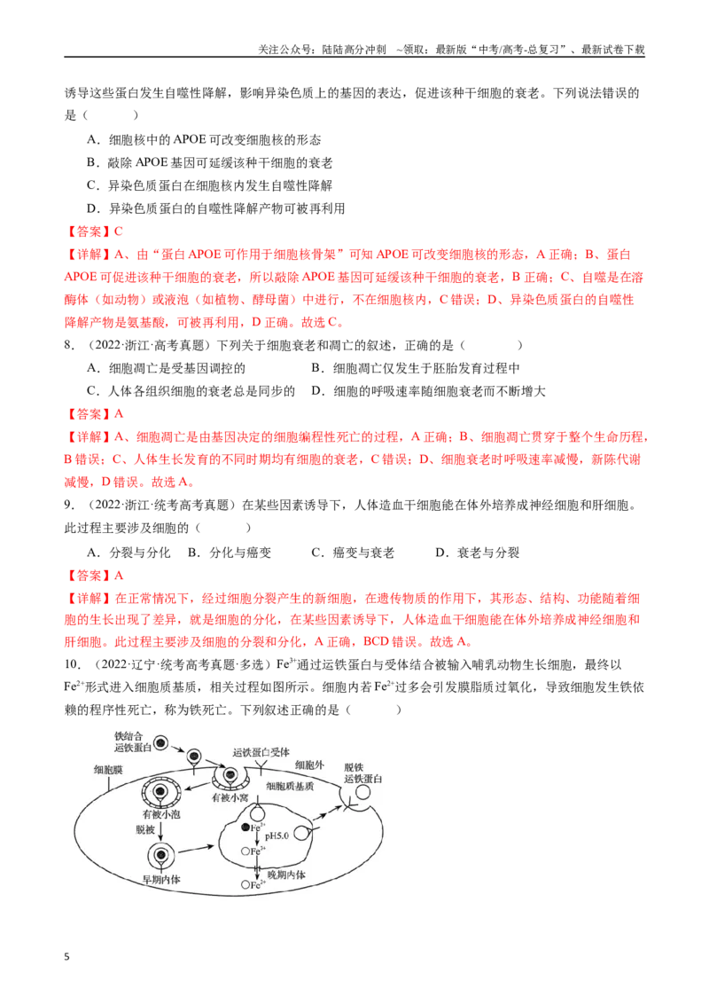 《专题09细胞的分化、衰老、凋亡及癌变（解析版）_06-生物-高考总复习_专项复习_2024年_2024年新高考生物复习热点考点真题模拟题必刷题练_资料》第5页预览