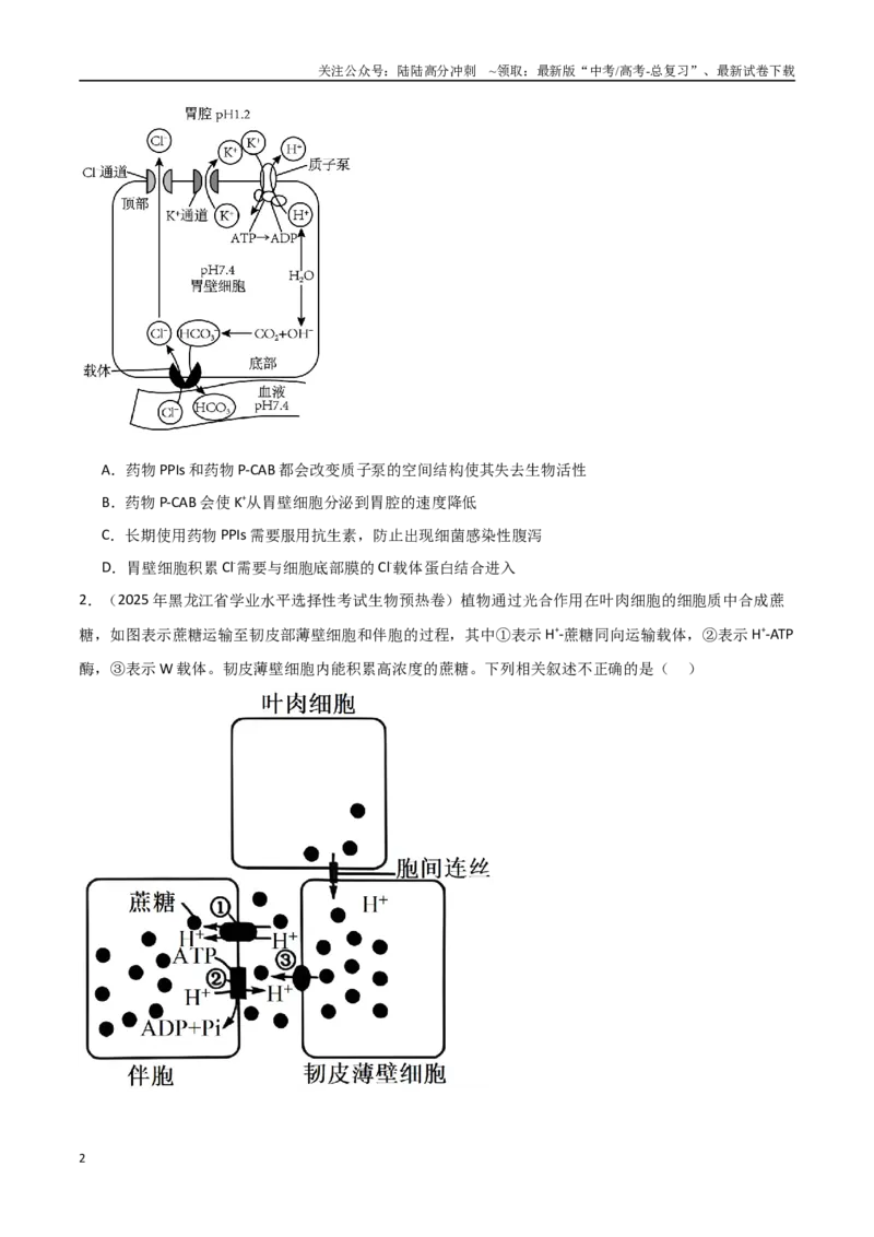 《猜押02细胞代谢（学生版）(1)_06-生物-高考总复习_专项复习_2025年_2025年高考生物抢押秘籍（黑吉辽蒙专用）》第2页预览