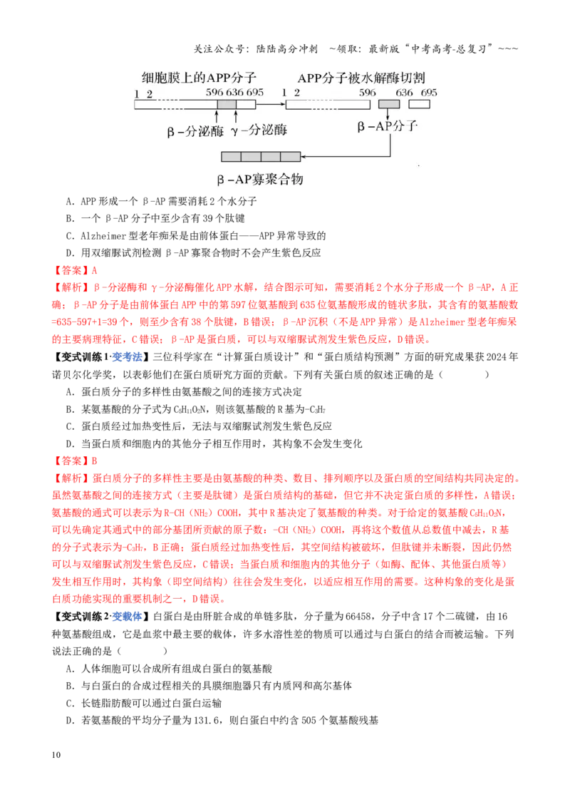 《第04讲蛋白质和核酸（复习讲义）（全国通用）（教师版）_06-生物-高考总复习_一轮复习_2026年-生物高考一轮复习_2026年高考生物一轮复习讲义+练习+课件（新教材新高考）-G55_2026版》第10页预览