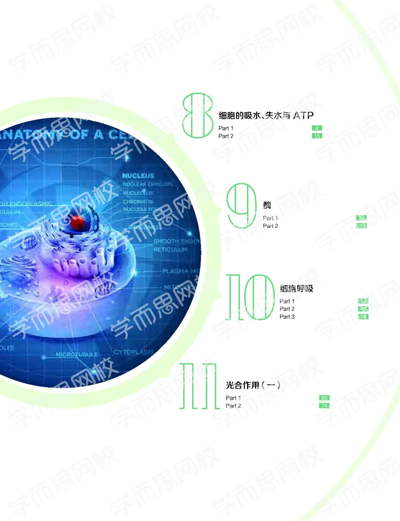 《11190510094512019-秋高一生物直播凌云班（全国）讲义下-749ae00aff51_学而思高一全套_2019秋季高一1_102019-秋高一生物直播凌云班(全国)陆魏巍完结_讲义》第1页预览