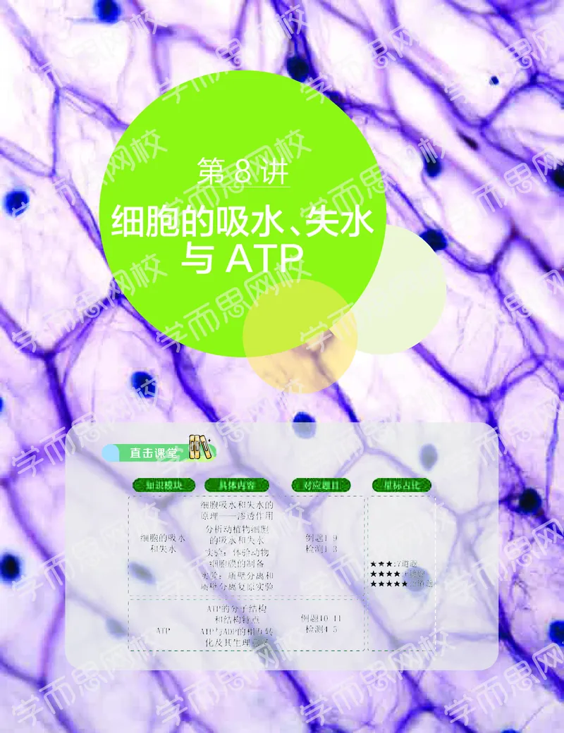 《11190510094512019-秋高一生物直播凌云班（全国）讲义下-749ae00aff51_学而思高一全套_2019秋季高一1_102019-秋高一生物直播凌云班(全国)陆魏巍完结_讲义》第3页预览