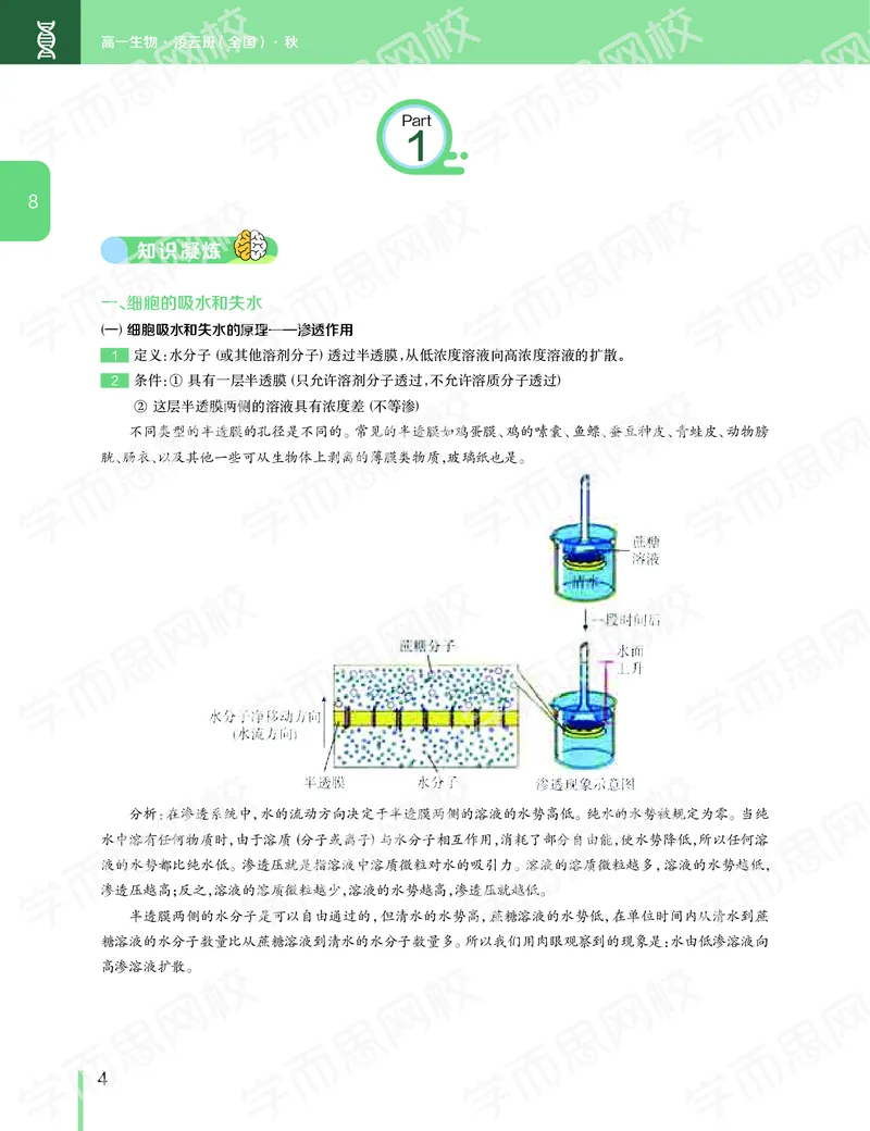 《11190510094512019-秋高一生物直播凌云班（全国）讲义下-749ae00aff51_学而思高一全套_2019秋季高一1_102019-秋高一生物直播凌云班(全国)陆魏巍完结_讲义》第5页预览