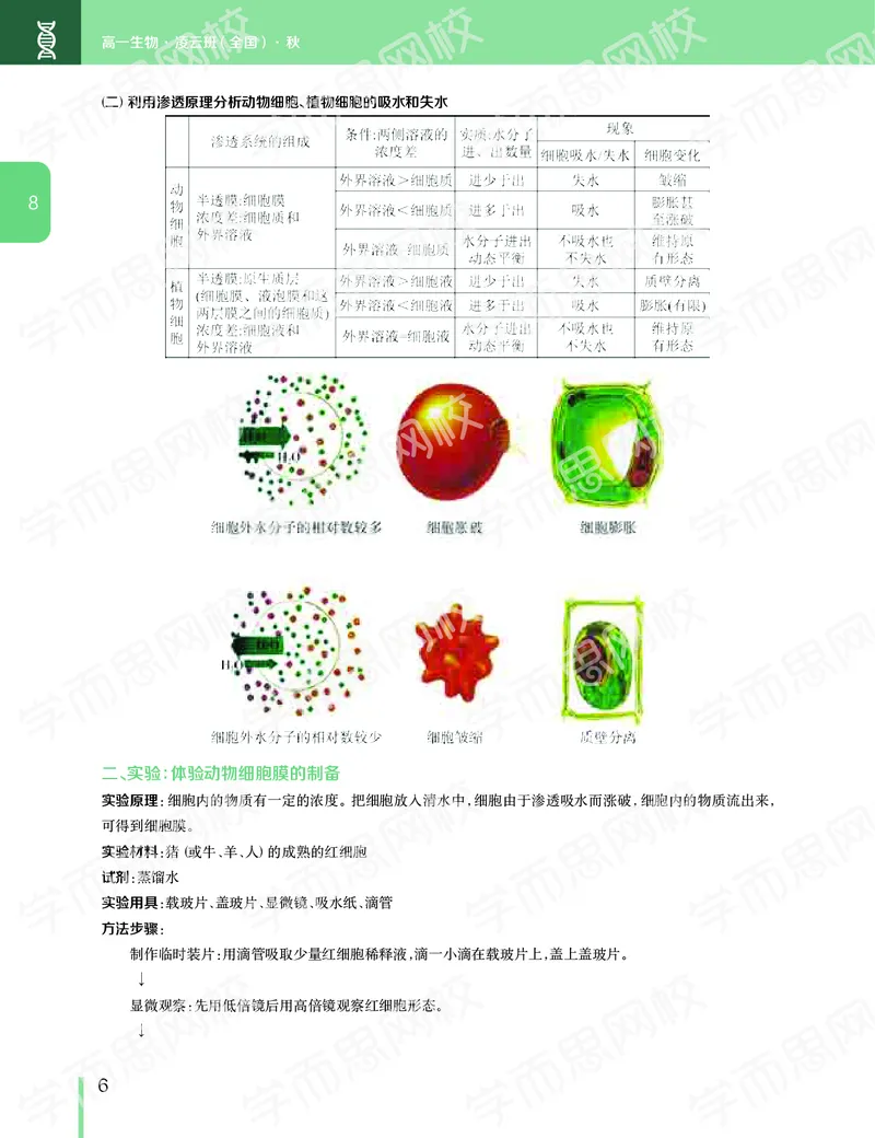 《11190510094512019-秋高一生物直播凌云班（全国）讲义下-749ae00aff51_学而思高一全套_2019秋季高一1_102019-秋高一生物直播凌云班(全国)陆魏巍完结_讲义》第7页预览