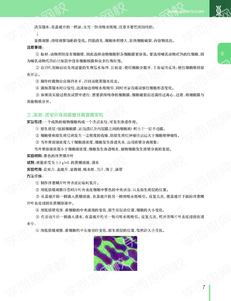 《11190510094512019-秋高一生物直播凌云班（全国）讲义下-749ae00aff51_学而思高一全套_2019秋季高一1_102019-秋高一生物直播凌云班(全国)陆魏巍完结_讲义》第8页预览