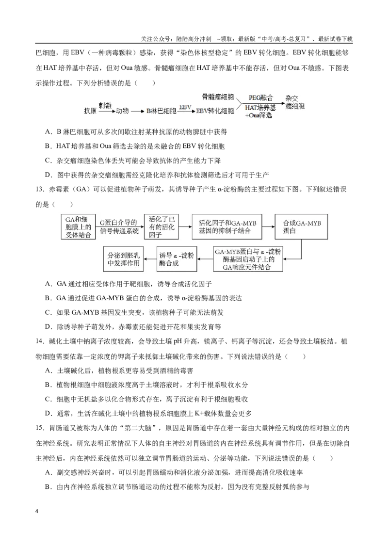 《生物（九省联考考后提升卷，广西卷）（原卷版）_06-生物-高考总复习_专项复习_2024年_2024高考生物1月九省联考猜想卷真题汇编完全解读》第4页预览