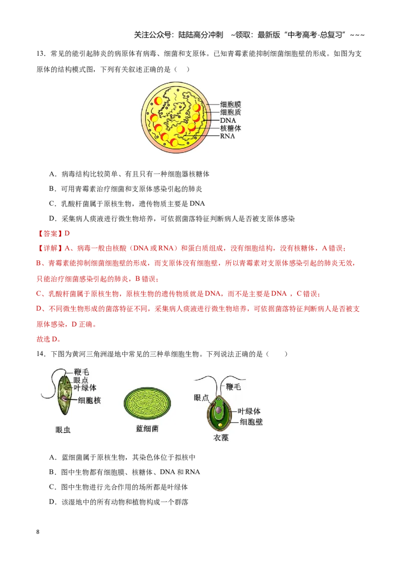《第01讲走近细胞（专项训练）（湖南专用）（教师版）_06-生物-高考总复习_一轮复习_2026年-生物高考一轮复习_2026年高考生物一轮课件+讲义+练习（湖南专用）-G331》第8页预览