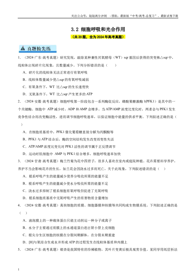 《专题07细胞呼吸和光合作用（学生版）_06-生物-高考总复习_一轮复习_2025年_2025年高考生物一轮复习考点精讲精练（新高考通用）》第1页预览