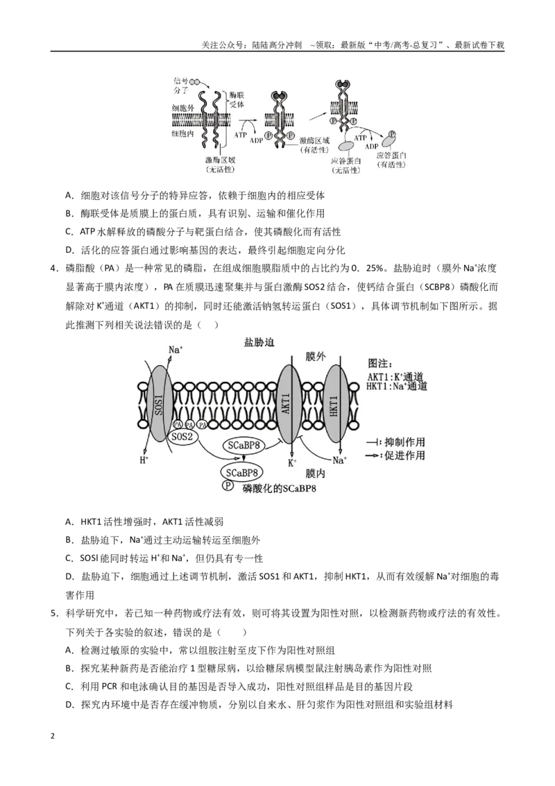 《生物（四川卷）（考试版）_06-生物-高考总复习_二轮复习_2025年_2025年高考生物第二次模拟卷26套_生物（四川卷）》第2页预览