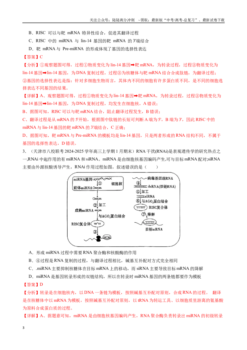 《热点012024年诺贝尔生理学或医学奖高考热点命题（教师版）_06-生物-高考总复习_专项复习_2025年_2025年高考生物重难点讲义专练（黑吉辽蒙专用）》第3页预览
