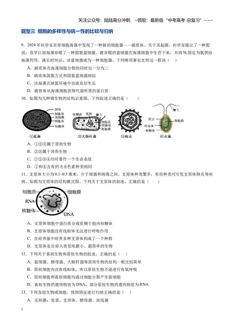 《第01讲走近细胞（专项训练）（安徽专用）（学生版）_06-生物-高考总复习_一轮复习_2026年-生物高考一轮复习_2026年高考生物一轮课件+讲义+练习（安徽专用）-G326》第3页预览