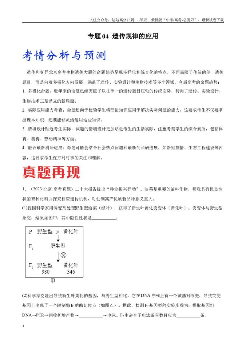 《专题04遗传规律的应用（北京卷）（原卷版）_06-生物-高考总复习_专项复习_2024年_2024年高考生物考前大题秒杀技巧及专项训练_资料》第1页预览
