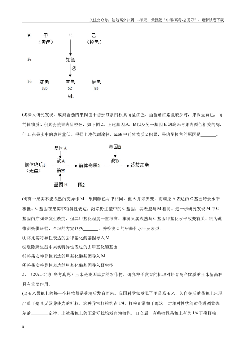 《专题04遗传规律的应用（北京卷）（原卷版）_06-生物-高考总复习_专项复习_2024年_2024年高考生物考前大题秒杀技巧及专项训练_资料》第3页预览