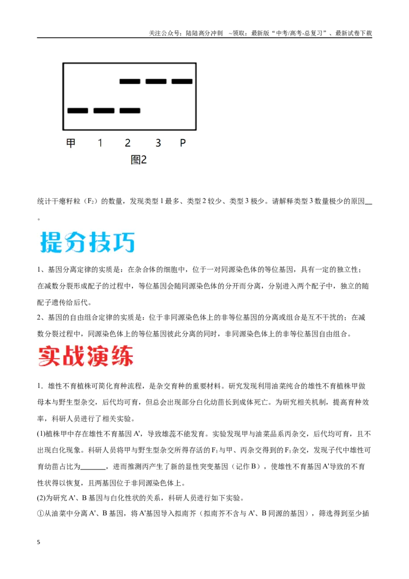 《专题04遗传规律的应用（北京卷）（原卷版）_06-生物-高考总复习_专项复习_2024年_2024年高考生物考前大题秒杀技巧及专项训练_资料》第5页预览