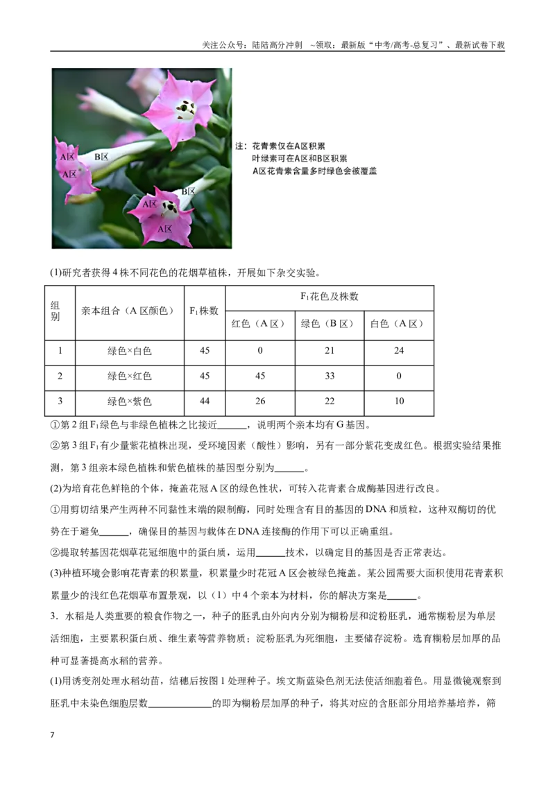 《专题04遗传规律的应用（北京卷）（原卷版）_06-生物-高考总复习_专项复习_2024年_2024年高考生物考前大题秒杀技巧及专项训练_资料》第7页预览