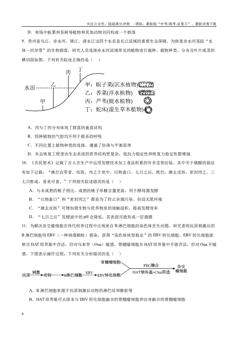 《生物（九省联考考后提升卷，江西卷）（原卷版）_06-生物-高考总复习_专项复习_2024年_2024高考生物1月九省联考猜想卷真题汇编完全解读》第4页预览