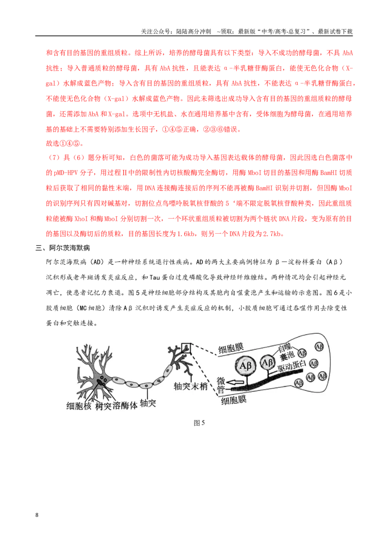 《生物（上海卷）（全解全析）_06-生物-高考总复习_二轮复习_2025年_2025年高考生物第二次模拟卷26套_生物（上海卷）》第8页预览
