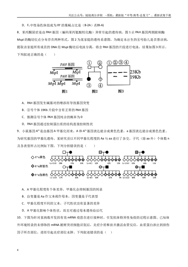 《生物（云南卷）（考试版）_06-生物-高考总复习_二轮复习_2025年_2025年高考生物第二次模拟卷26套_生物（云南卷）》第4页预览
