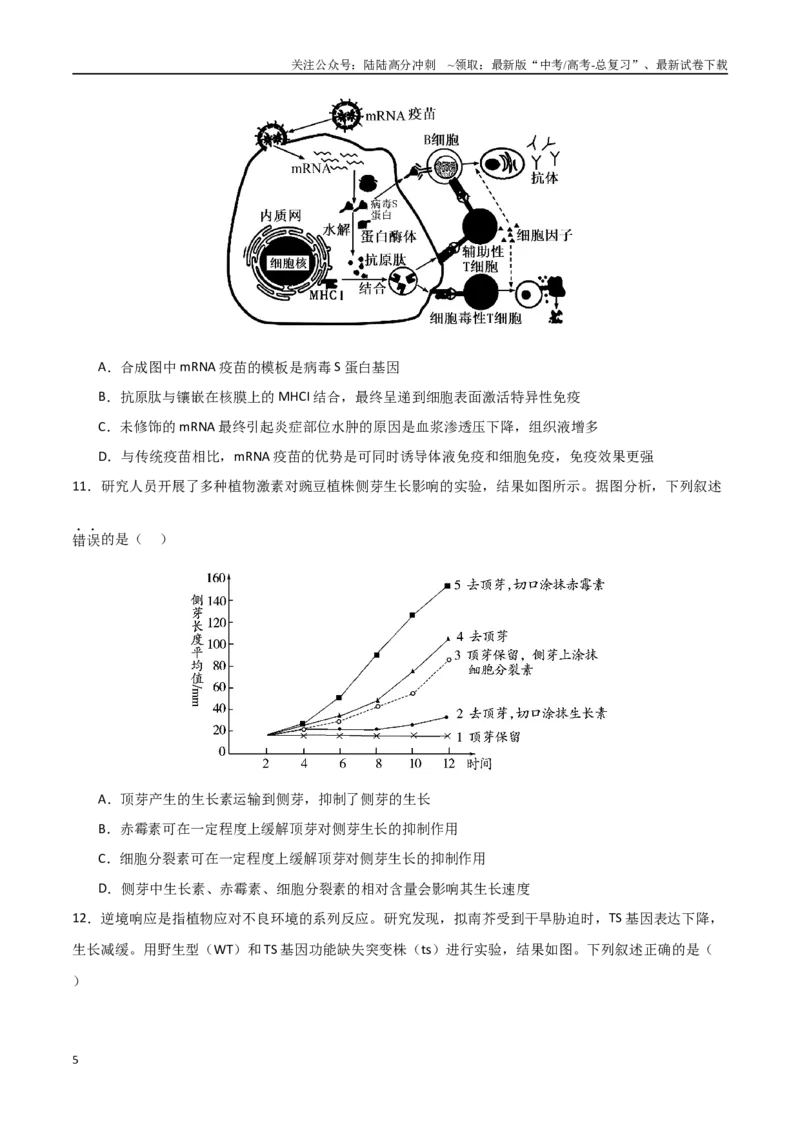 《生物（云南卷）（考试版）_06-生物-高考总复习_二轮复习_2025年_2025年高考生物第二次模拟卷26套_生物（云南卷）》第5页预览