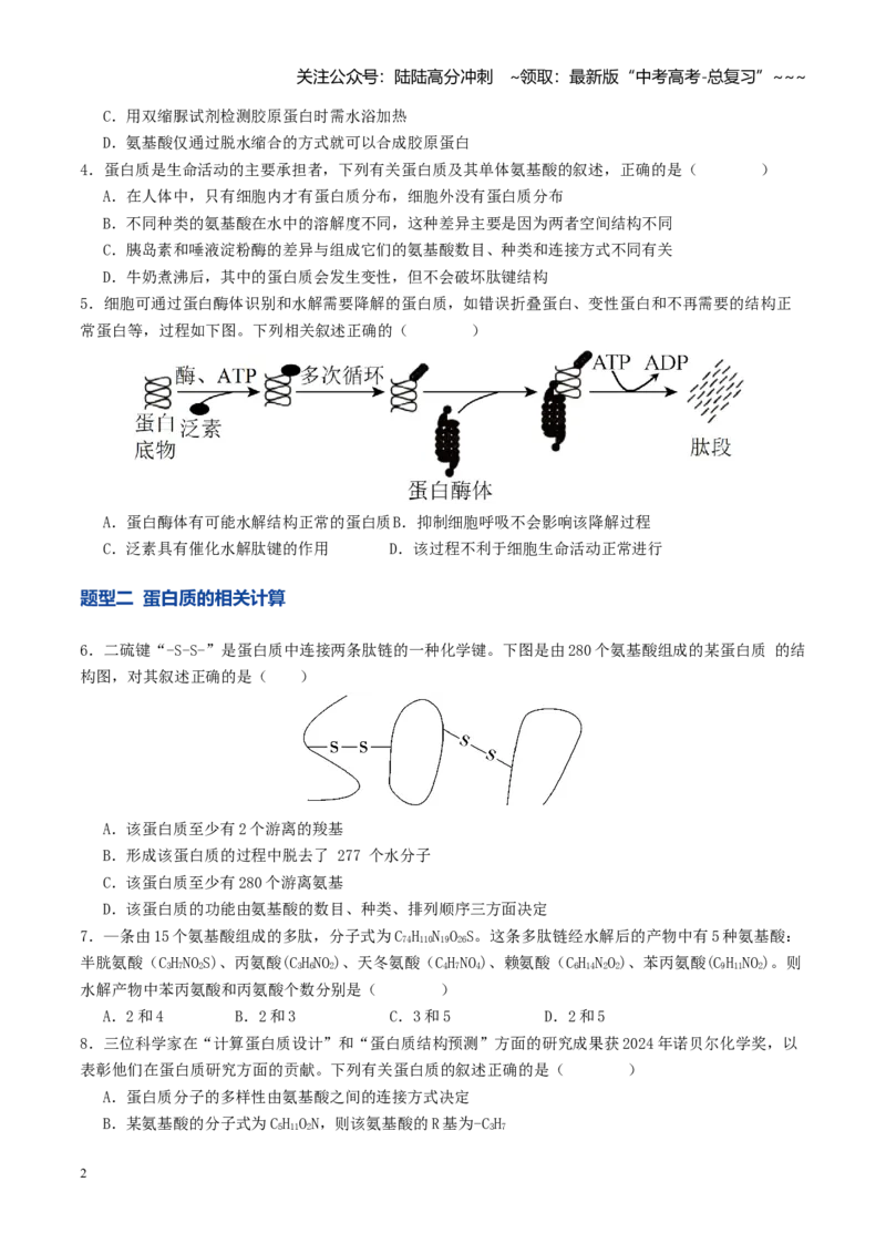 《第04讲蛋白质和核酸（专项训练）（学生版）_06-生物-高考总复习_一轮复习_2026年-生物高考一轮复习_2026年高考生物一轮复习讲义+练习+课件（新教材新高考）-G55_2026版》第2页预览